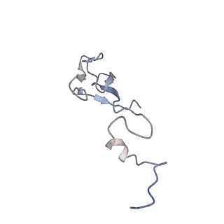 9701_6ip5_3P_v1-2
Cryo-EM structure of the CMV-stalled human 80S ribosome (Structure ii)