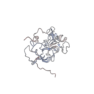 9702_6ip6_1D_v1-2
Cryo-EM structure of the CMV-stalled human 80S ribosome with HCV IRES (Structure iii)