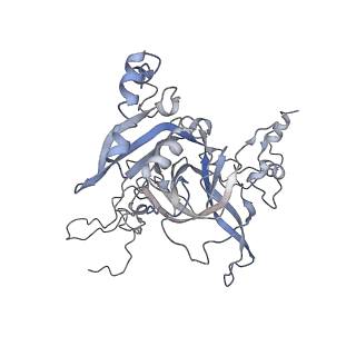 9702_6ip6_1E_v1-2
Cryo-EM structure of the CMV-stalled human 80S ribosome with HCV IRES (Structure iii)