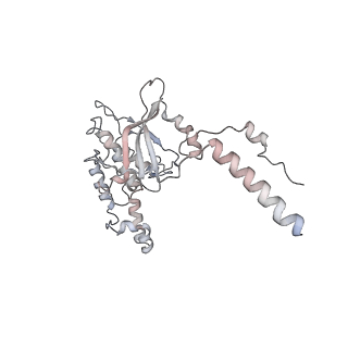 9702_6ip6_1G_v1-2
Cryo-EM structure of the CMV-stalled human 80S ribosome with HCV IRES (Structure iii)