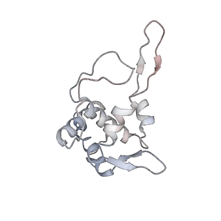 9702_6ip6_20_v1-2
Cryo-EM structure of the CMV-stalled human 80S ribosome with HCV IRES (Structure iii)