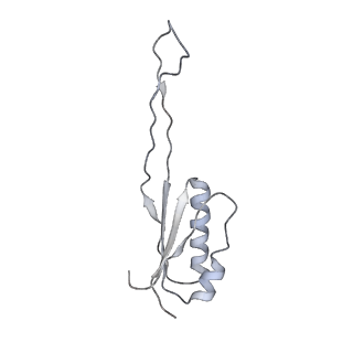9702_6ip6_21_v1-2
Cryo-EM structure of the CMV-stalled human 80S ribosome with HCV IRES (Structure iii)
