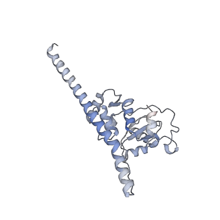 9702_6ip6_2A_v1-2
Cryo-EM structure of the CMV-stalled human 80S ribosome with HCV IRES (Structure iii)
