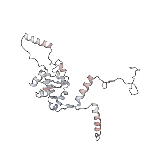 9702_6ip6_2B_v1-2
Cryo-EM structure of the CMV-stalled human 80S ribosome with HCV IRES (Structure iii)