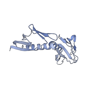9702_6ip6_2C_v1-2
Cryo-EM structure of the CMV-stalled human 80S ribosome with HCV IRES (Structure iii)