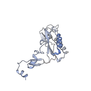 9702_6ip6_2D_v1-2
Cryo-EM structure of the CMV-stalled human 80S ribosome with HCV IRES (Structure iii)