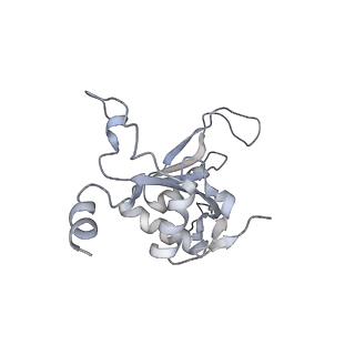 9702_6ip6_2E_v1-2
Cryo-EM structure of the CMV-stalled human 80S ribosome with HCV IRES (Structure iii)