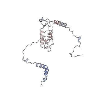 9702_6ip6_2F_v1-2
Cryo-EM structure of the CMV-stalled human 80S ribosome with HCV IRES (Structure iii)