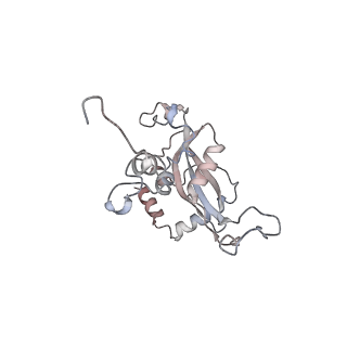 9702_6ip6_2H_v1-2
Cryo-EM structure of the CMV-stalled human 80S ribosome with HCV IRES (Structure iii)