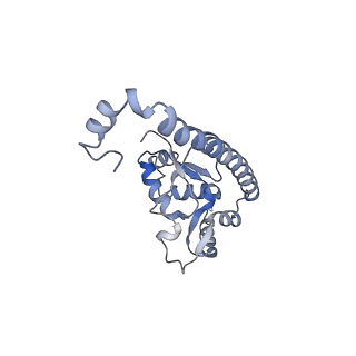 9702_6ip6_2I_v1-2
Cryo-EM structure of the CMV-stalled human 80S ribosome with HCV IRES (Structure iii)
