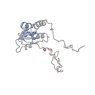 9702_6ip6_2K_v1-2
Cryo-EM structure of the CMV-stalled human 80S ribosome with HCV IRES (Structure iii)