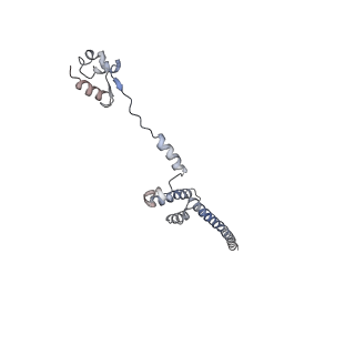 9702_6ip6_2L_v1-2
Cryo-EM structure of the CMV-stalled human 80S ribosome with HCV IRES (Structure iii)