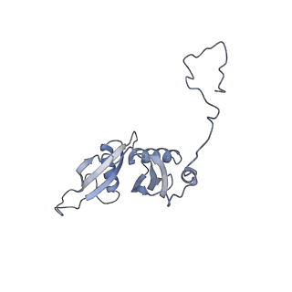 9702_6ip6_2M_v1-2
Cryo-EM structure of the CMV-stalled human 80S ribosome with HCV IRES (Structure iii)
