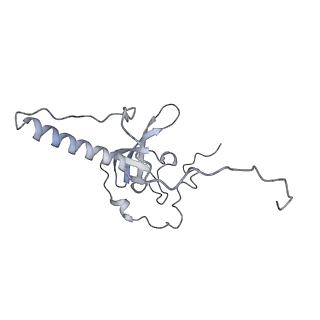 9702_6ip6_2N_v1-2
Cryo-EM structure of the CMV-stalled human 80S ribosome with HCV IRES (Structure iii)
