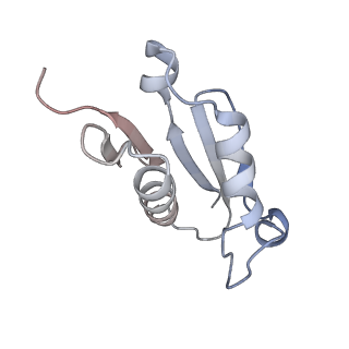 9702_6ip6_2O_v1-2
Cryo-EM structure of the CMV-stalled human 80S ribosome with HCV IRES (Structure iii)