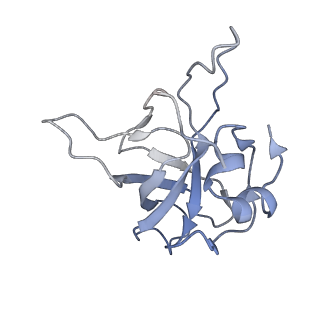 9702_6ip6_2P_v1-2
Cryo-EM structure of the CMV-stalled human 80S ribosome with HCV IRES (Structure iii)