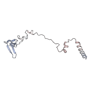 9702_6ip6_2Q_v1-2
Cryo-EM structure of the CMV-stalled human 80S ribosome with HCV IRES (Structure iii)