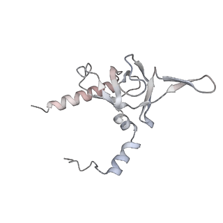 9702_6ip6_2S_v1-2
Cryo-EM structure of the CMV-stalled human 80S ribosome with HCV IRES (Structure iii)
