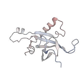 9702_6ip6_2T_v1-2
Cryo-EM structure of the CMV-stalled human 80S ribosome with HCV IRES (Structure iii)