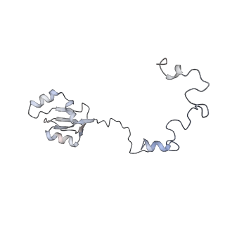 9702_6ip6_2U_v1-2
Cryo-EM structure of the CMV-stalled human 80S ribosome with HCV IRES (Structure iii)