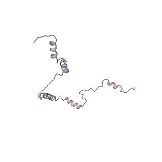 9702_6ip6_2V_v1-2
Cryo-EM structure of the CMV-stalled human 80S ribosome with HCV IRES (Structure iii)