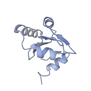9702_6ip6_2W_v1-2
Cryo-EM structure of the CMV-stalled human 80S ribosome with HCV IRES (Structure iii)