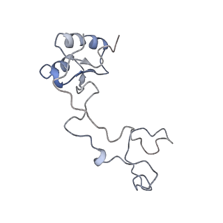 9702_6ip6_2Y_v1-2
Cryo-EM structure of the CMV-stalled human 80S ribosome with HCV IRES (Structure iii)