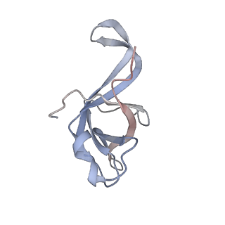 9702_6ip6_2Z_v1-2
Cryo-EM structure of the CMV-stalled human 80S ribosome with HCV IRES (Structure iii)