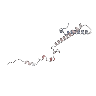 9702_6ip6_2b_v1-2
Cryo-EM structure of the CMV-stalled human 80S ribosome with HCV IRES (Structure iii)
