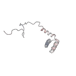 9702_6ip6_2c_v1-2
Cryo-EM structure of the CMV-stalled human 80S ribosome with HCV IRES (Structure iii)
