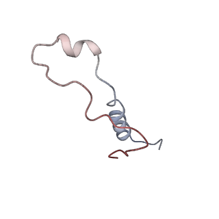 9702_6ip6_2f_v1-2
Cryo-EM structure of the CMV-stalled human 80S ribosome with HCV IRES (Structure iii)