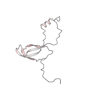 9702_6ip6_2i_v1-2
Cryo-EM structure of the CMV-stalled human 80S ribosome with HCV IRES (Structure iii)