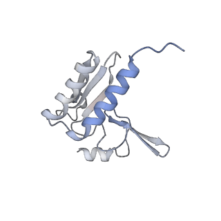 9702_6ip6_2k_v1-2
Cryo-EM structure of the CMV-stalled human 80S ribosome with HCV IRES (Structure iii)