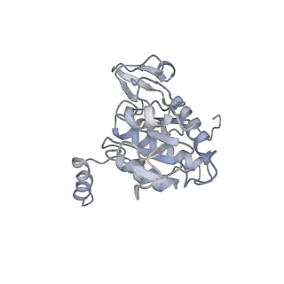 9702_6ip6_2n_v1-2
Cryo-EM structure of the CMV-stalled human 80S ribosome with HCV IRES (Structure iii)