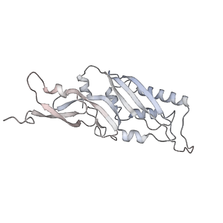 9702_6ip6_2o_v1-2
Cryo-EM structure of the CMV-stalled human 80S ribosome with HCV IRES (Structure iii)