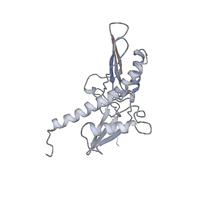 9702_6ip6_2p_v1-2
Cryo-EM structure of the CMV-stalled human 80S ribosome with HCV IRES (Structure iii)