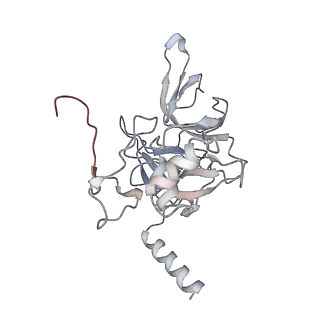 9702_6ip6_2q_v1-2
Cryo-EM structure of the CMV-stalled human 80S ribosome with HCV IRES (Structure iii)
