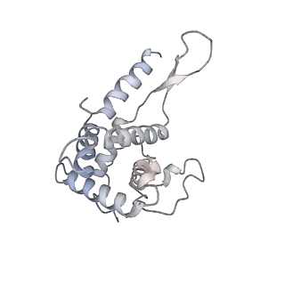9702_6ip6_2r_v1-2
Cryo-EM structure of the CMV-stalled human 80S ribosome with HCV IRES (Structure iii)