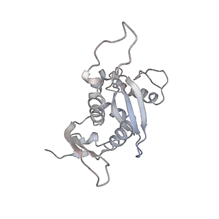 9702_6ip6_2s_v1-2
Cryo-EM structure of the CMV-stalled human 80S ribosome with HCV IRES (Structure iii)