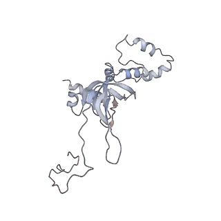 9702_6ip6_2t_v1-2
Cryo-EM structure of the CMV-stalled human 80S ribosome with HCV IRES (Structure iii)