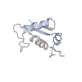 9702_6ip6_2u_v1-2
Cryo-EM structure of the CMV-stalled human 80S ribosome with HCV IRES (Structure iii)