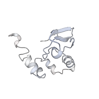 9702_6ip6_2w_v1-2
Cryo-EM structure of the CMV-stalled human 80S ribosome with HCV IRES (Structure iii)