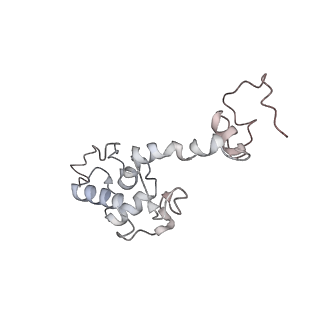9702_6ip6_2z_v1-2
Cryo-EM structure of the CMV-stalled human 80S ribosome with HCV IRES (Structure iii)