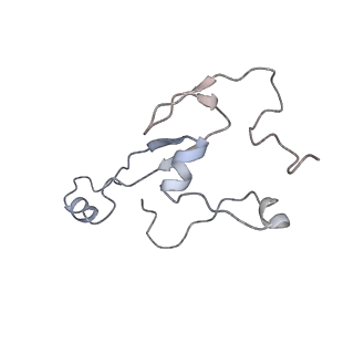 9702_6ip6_3C_v1-2
Cryo-EM structure of the CMV-stalled human 80S ribosome with HCV IRES (Structure iii)