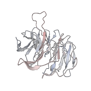 9702_6ip6_3F_v1-2
Cryo-EM structure of the CMV-stalled human 80S ribosome with HCV IRES (Structure iii)