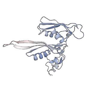 9702_6ip6_3G_v1-2
Cryo-EM structure of the CMV-stalled human 80S ribosome with HCV IRES (Structure iii)