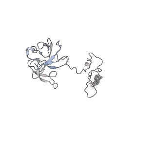 9702_6ip6_3H_v1-2
Cryo-EM structure of the CMV-stalled human 80S ribosome with HCV IRES (Structure iii)