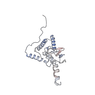 9702_6ip6_3I_v1-2
Cryo-EM structure of the CMV-stalled human 80S ribosome with HCV IRES (Structure iii)