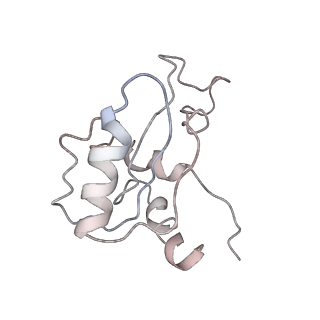 9702_6ip6_3J_v1-2
Cryo-EM structure of the CMV-stalled human 80S ribosome with HCV IRES (Structure iii)