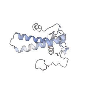 9702_6ip6_3K_v1-2
Cryo-EM structure of the CMV-stalled human 80S ribosome with HCV IRES (Structure iii)